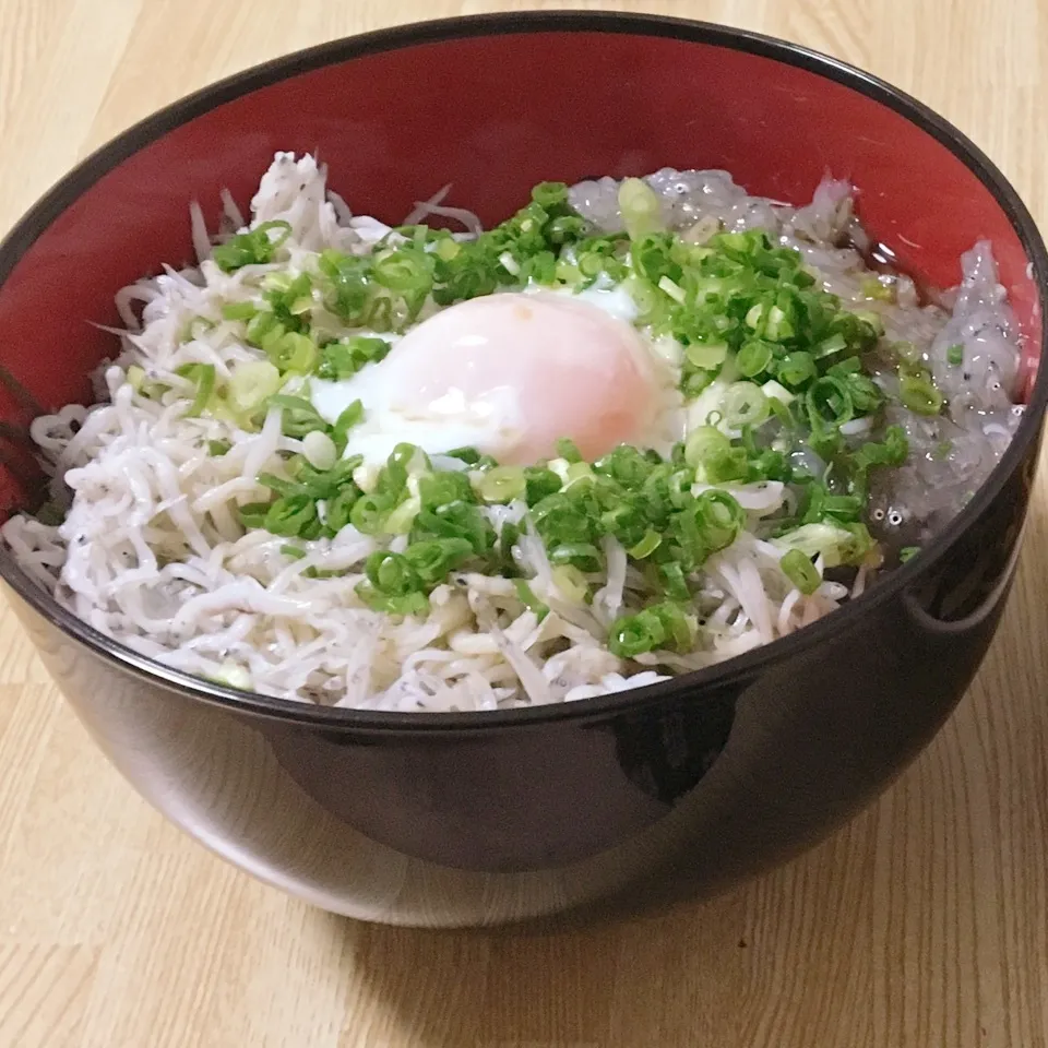 Snapdishの料理写真:2色のしらす丼|まぁたんさん