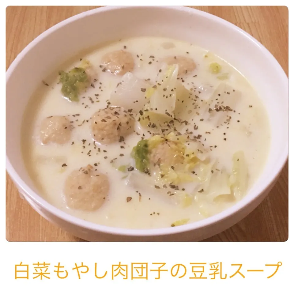 Snapdishの料理写真:白菜と肉団子の豆乳スープ|まぁたんさん