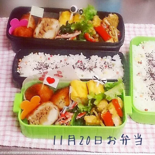 Snapdishの料理写真:11月20日お弁当|みなみなさん