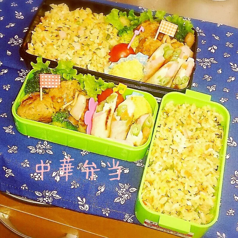 11月5日お弁当|みなみなさん