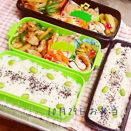 じゃがいもで青椒肉絲？お弁当|みなみなさん