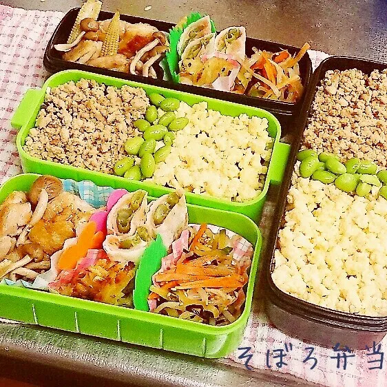 10月27日お弁当|みなみなさん