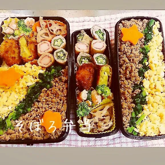 今日のお弁当|みなみなさん