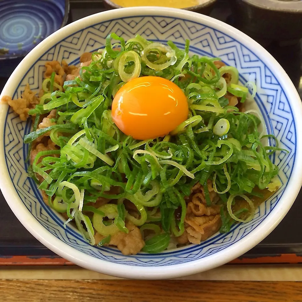 牛ねぎ玉丼 アタマの大盛|まぁたんさん