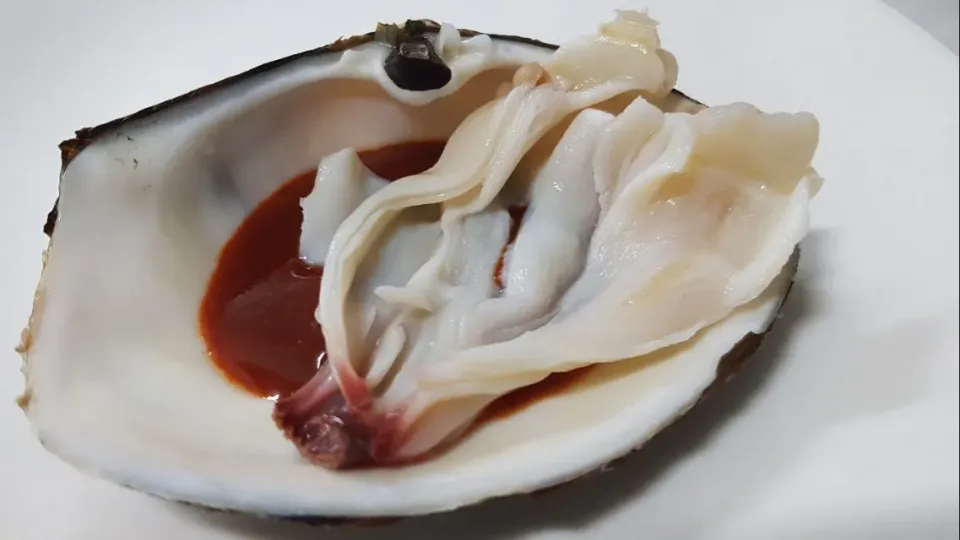 horse clam|steven z.y.さん