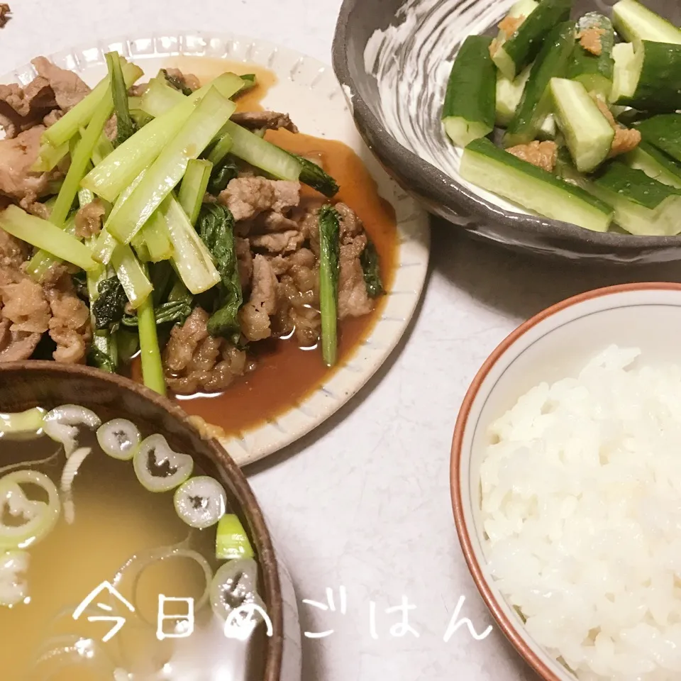 肉野菜炒めときゅうりの漬け物|ようこさん