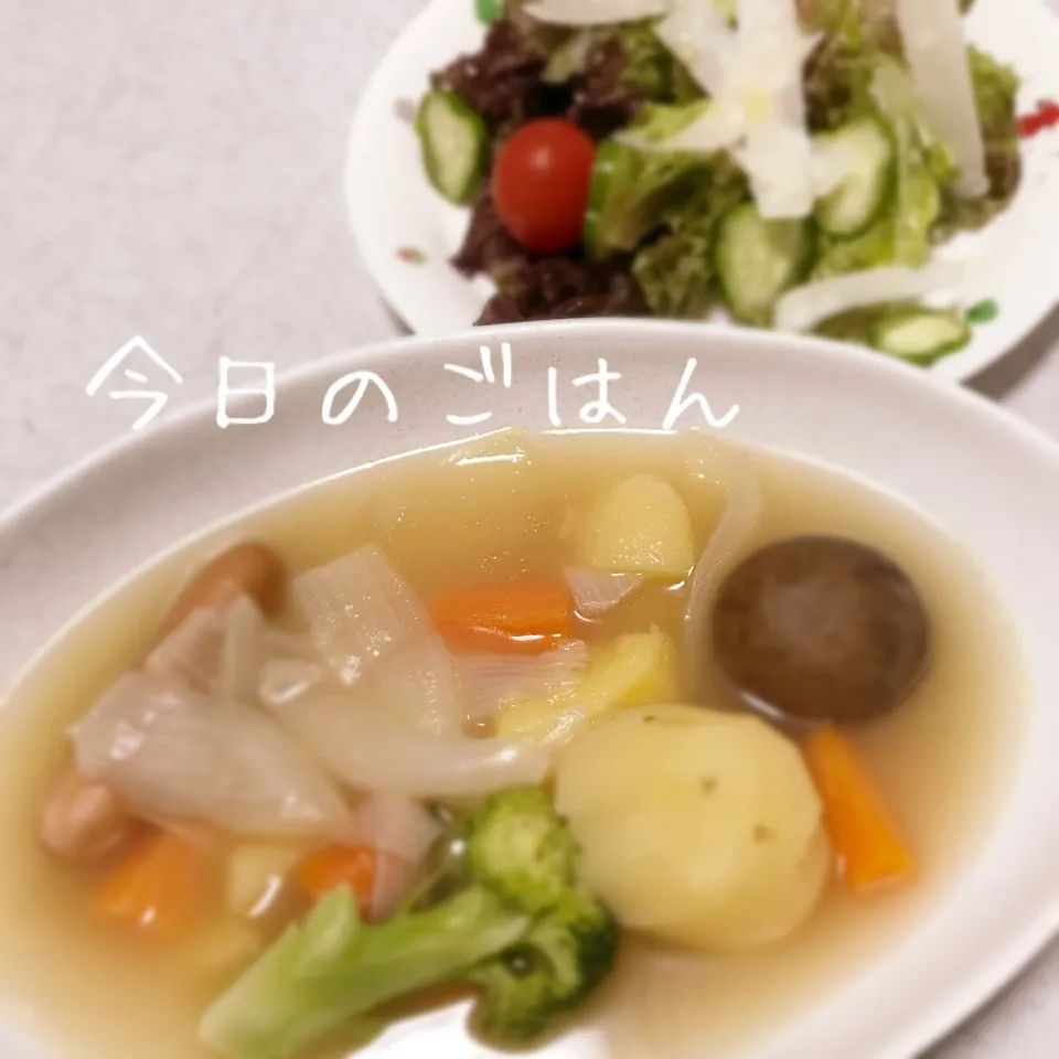 Snapdishの料理写真:ポトフとパルミジャーノサラダ|ようこさん