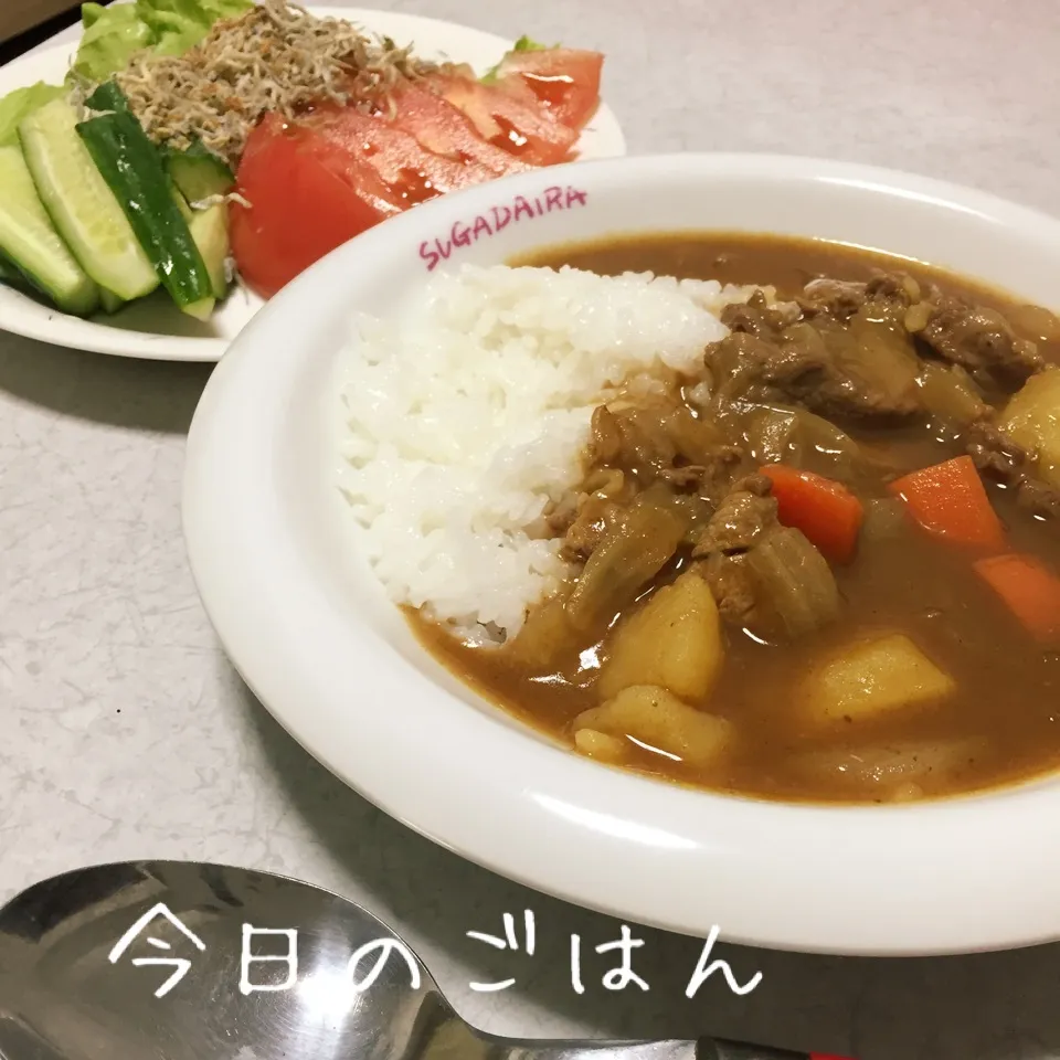 カレーとじゃこサラダ|ようこさん