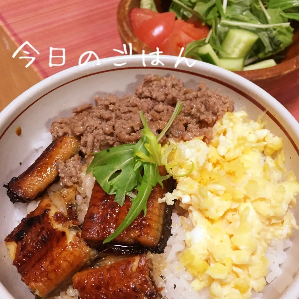 Snapdishの料理写真:豪華三色丼|ようこさん