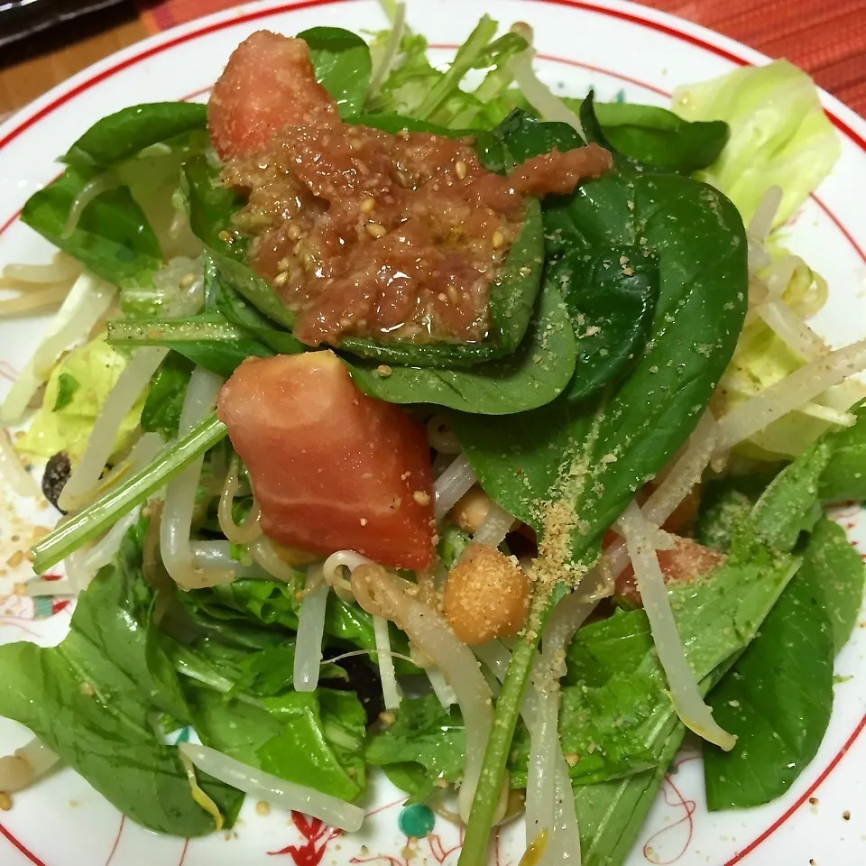 Snapdishの料理写真:梅肉サラダ|ようこさん