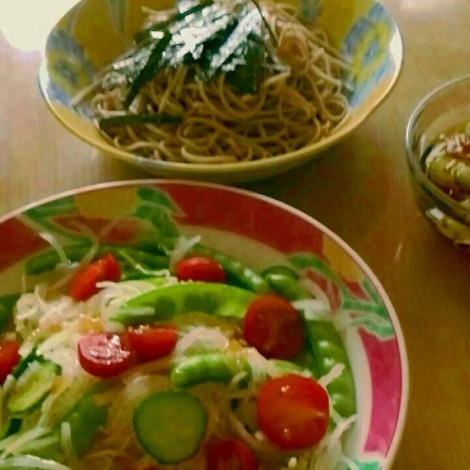 ざる蕎麦とたっぷり野菜サラダ|やこめし亭さん