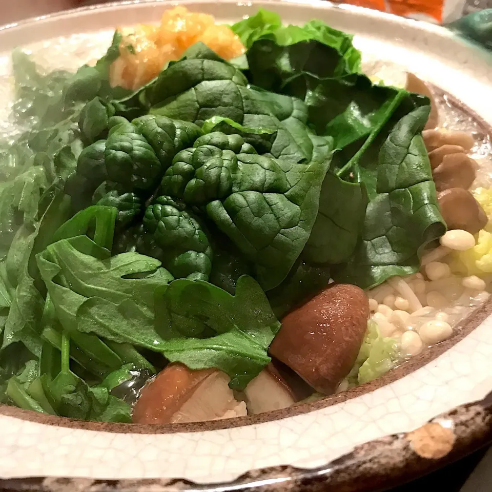 Snapdishの料理写真:鶏野菜鍋|koji toyodaさん