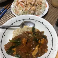 鶏肉とほうれん草のトマトカレー|hirominさん