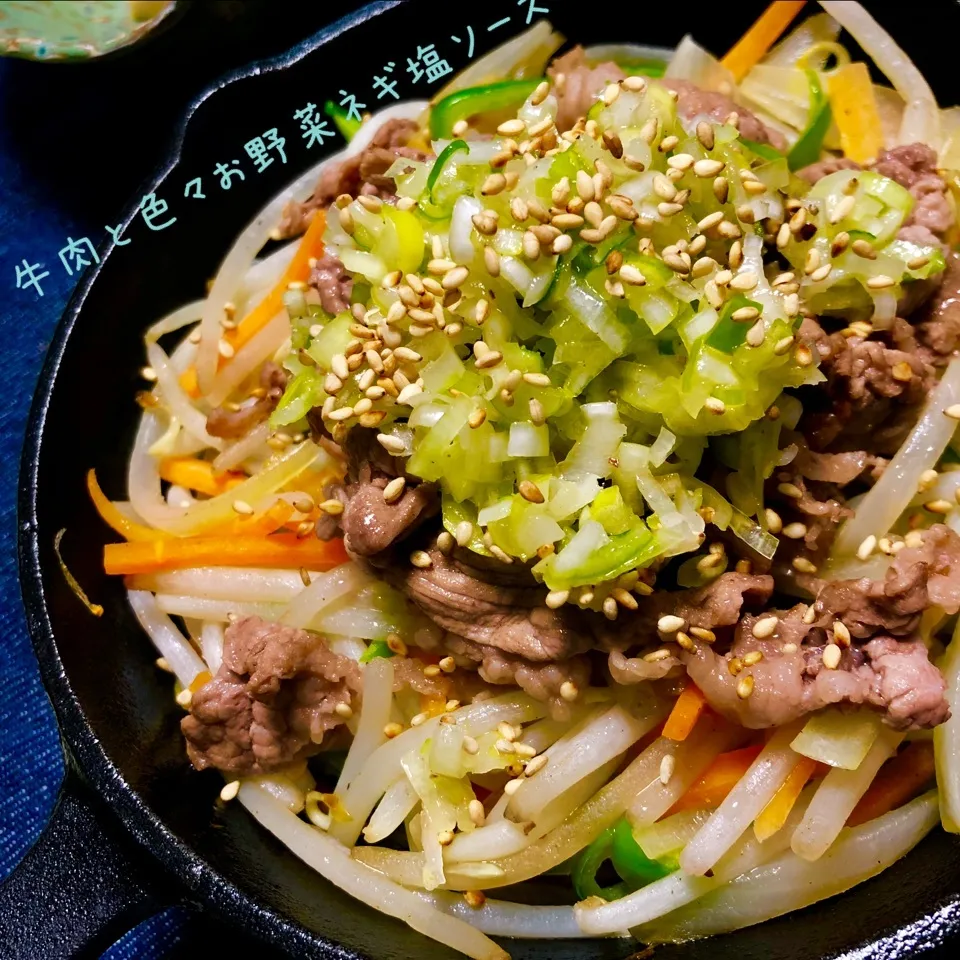 Snapdishの料理写真:牛肉と色々お野菜ネギ塩ソース|chiezooさん