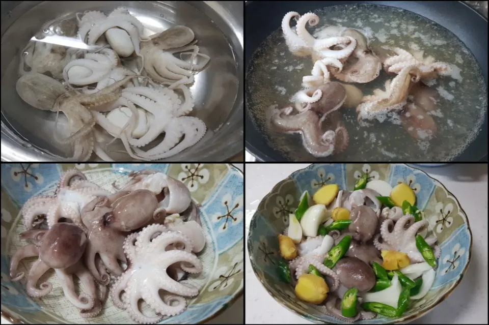 marinated octopus|steven z.y.さん