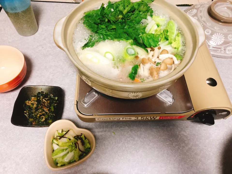 針テラス道の駅で買った野菜としゃぶしゃぶ
白菜の浅漬けゆず風味
壬生菜のピリ辛漬け
 #晩ごはん|haacomさん