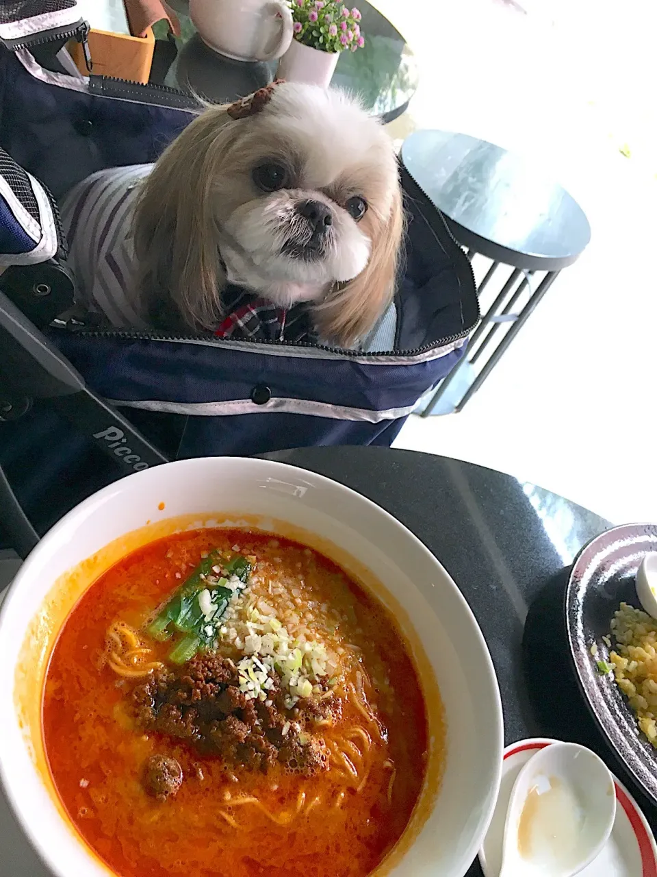 週末Lunch🍴  京都|プクママさん