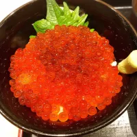 Snapdishの料理写真:いくらキラキラ丼|chocoholicさん