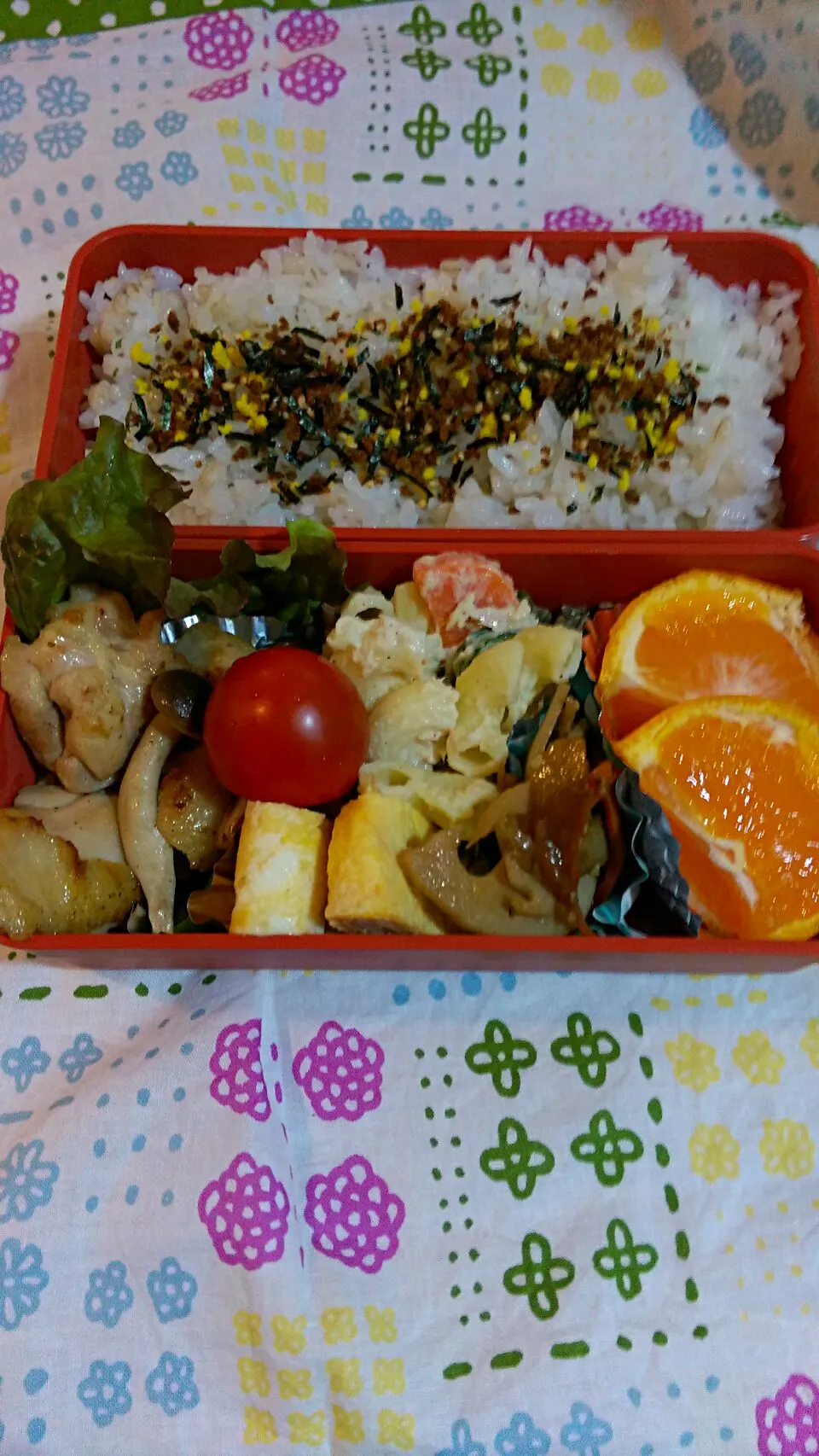 今日の息子のお弁当🍱|けーこさん