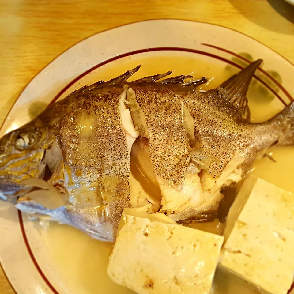 今宵の肴
　カーエー(ゴマアイゴ)の
　 　マースニー(塩煮)

島豆腐を添えて|miyagushikuさん