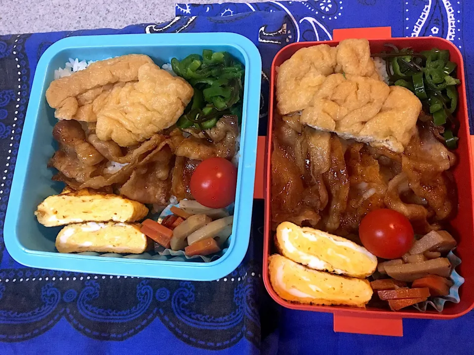 Snapdishの料理写真:♫12/5今日の2人分お弁当♫|Satokoさん