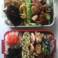 にんにく味噌漬けチキンと春雨サラダのお弁当♪|ぴっぴさん