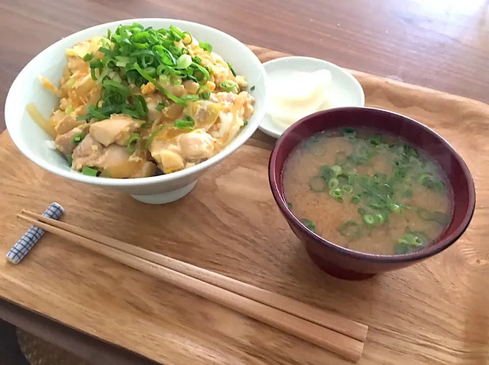 Snapdishの料理写真:新調した丼ぶりで、親子丼|くむさん