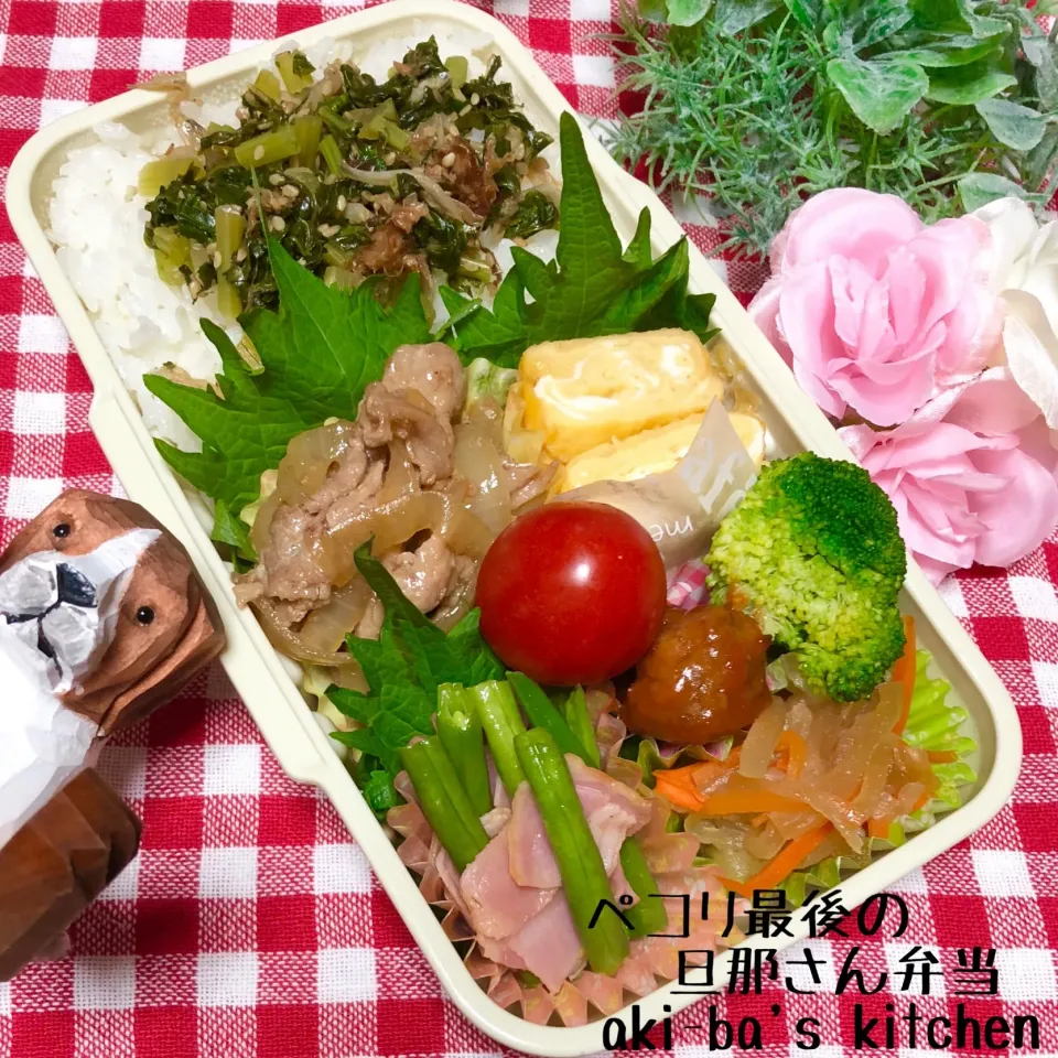 旦那さん弁当12/4|アキーバさん