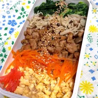 12.6☆旦那弁当
5色丼|のん∞さん