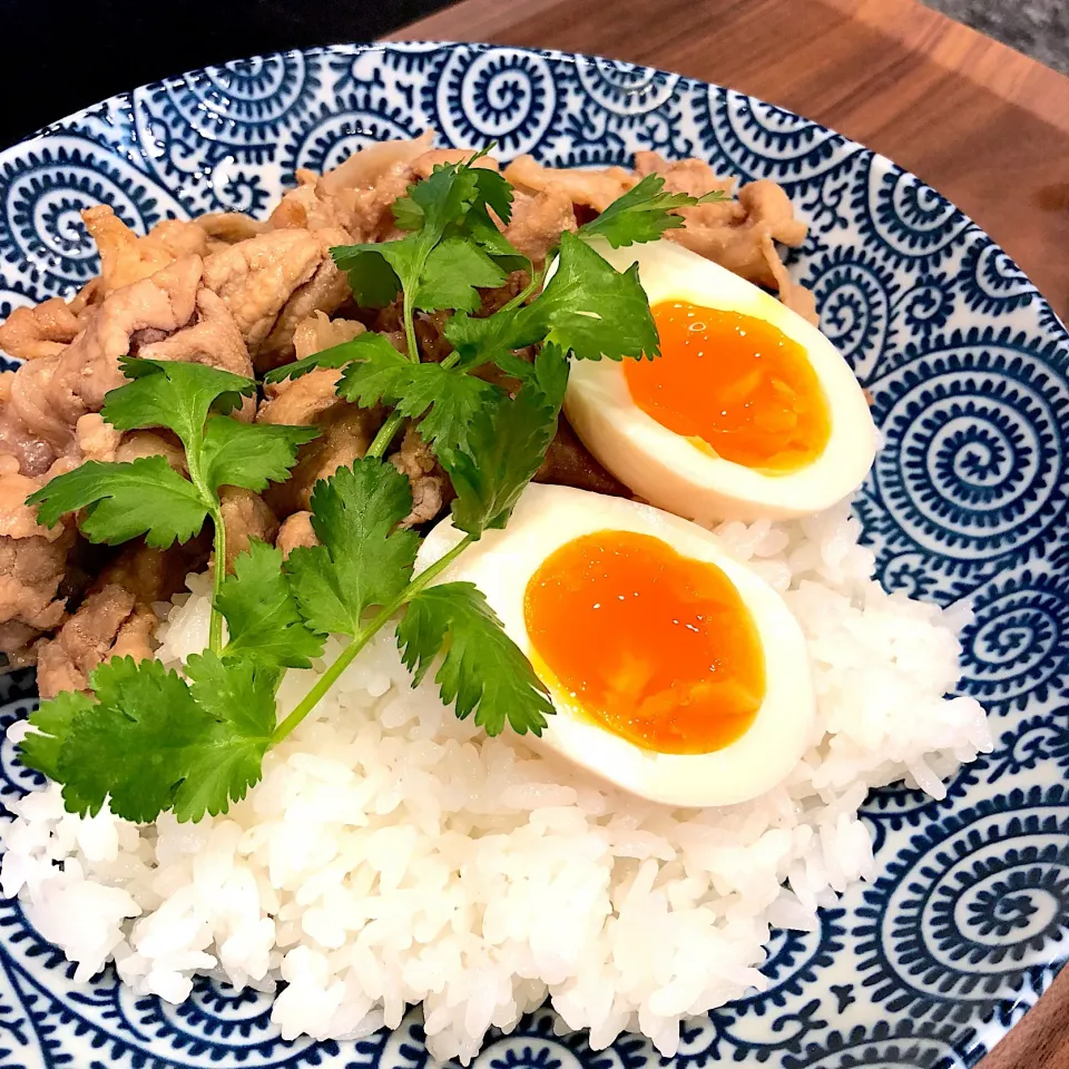 肉丼|ヨッチャンさん