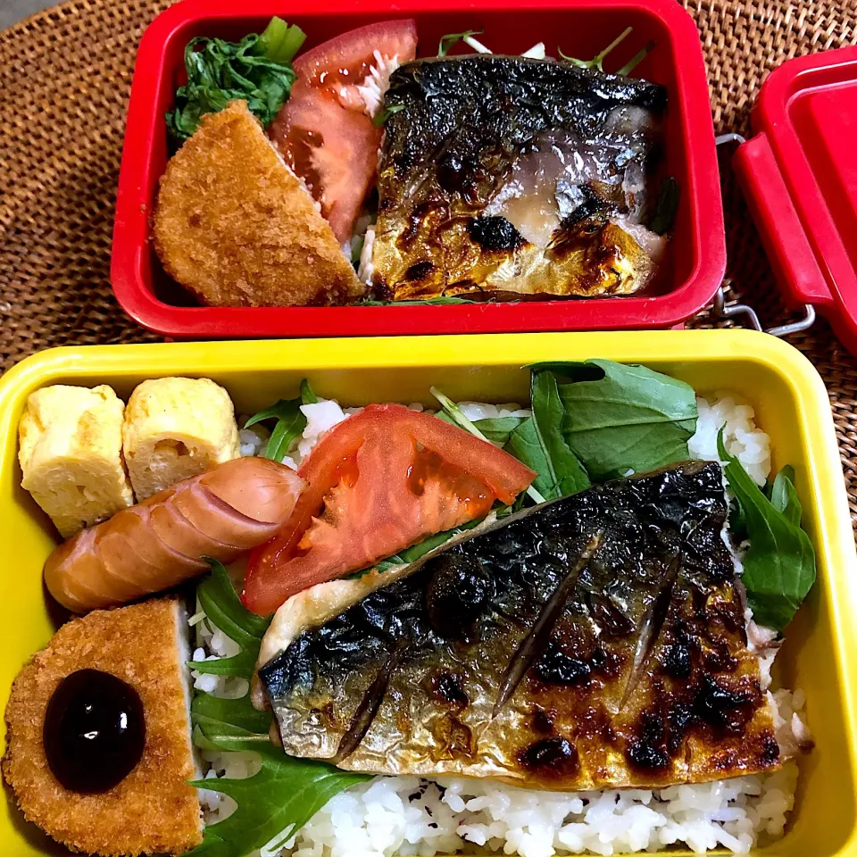 Snapdishの料理写真:塩鯖弁(ﾟ∀ﾟ) #お弁当|nao子さん