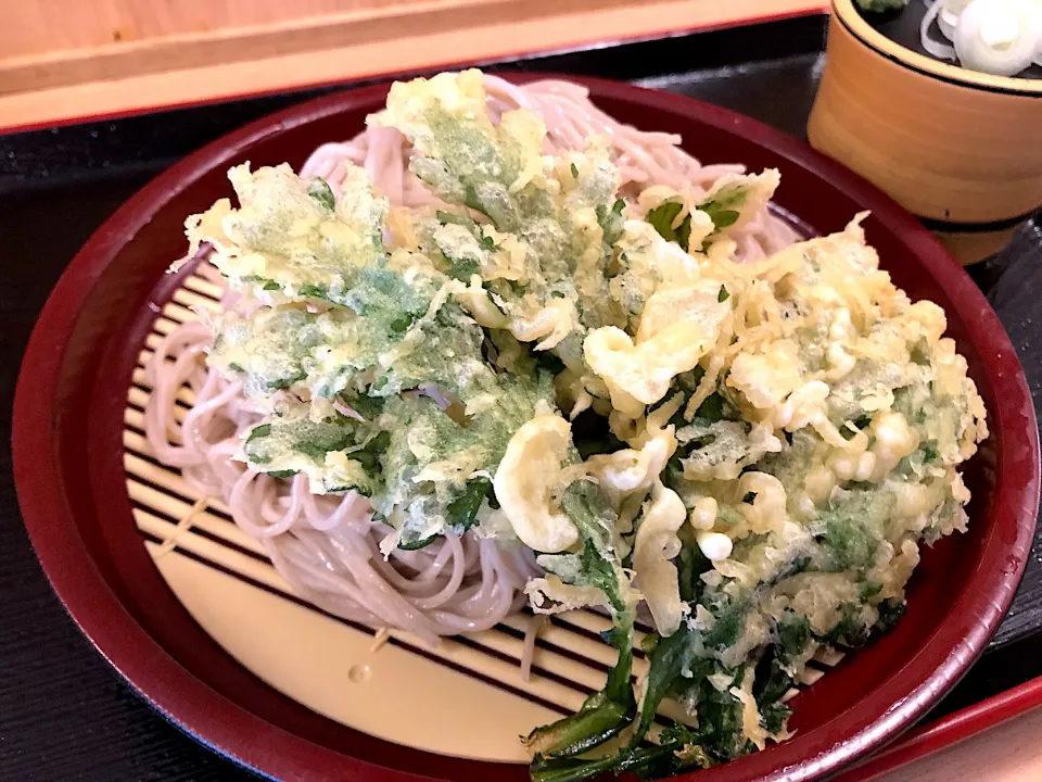 Snapdishの料理写真:春菊天もりそば、大盛|buhizouさん