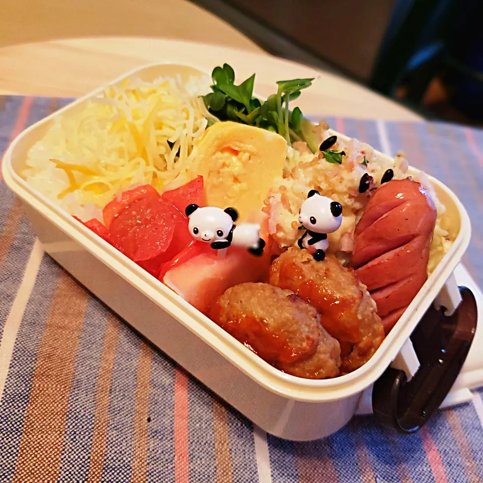 本日のテケト～ミニ弁当＊Pトマトの浅漬け|mi_neneco♪さん