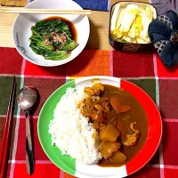 Snapdishの料理写真:カレー
ほうれん草のおひたし
白菜の浅漬け|みねさん