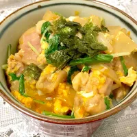 Snapdishの料理写真:親子丼|ようこさん