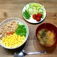 Snapdishの料理写真:そぼろ丼|pupuさん