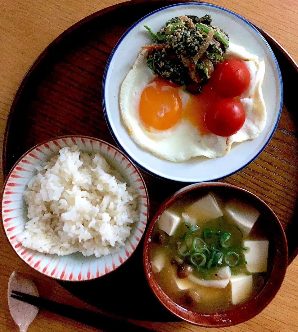 朝ごはんを食べよう🐔シンプル和食で朝ごはん🥢|あしゃぱんさん