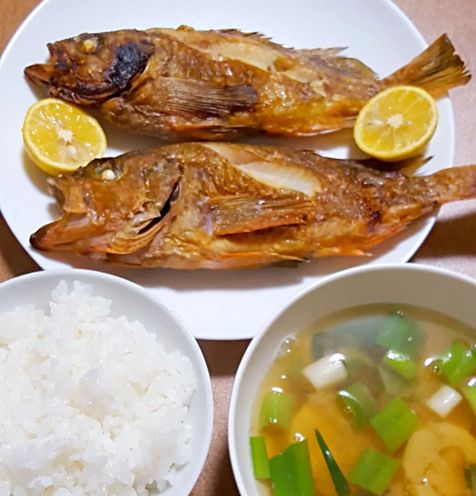 メバルの塩焼き
九条ネギとさつまいもの味噌汁
ご飯🍚|ナナさん