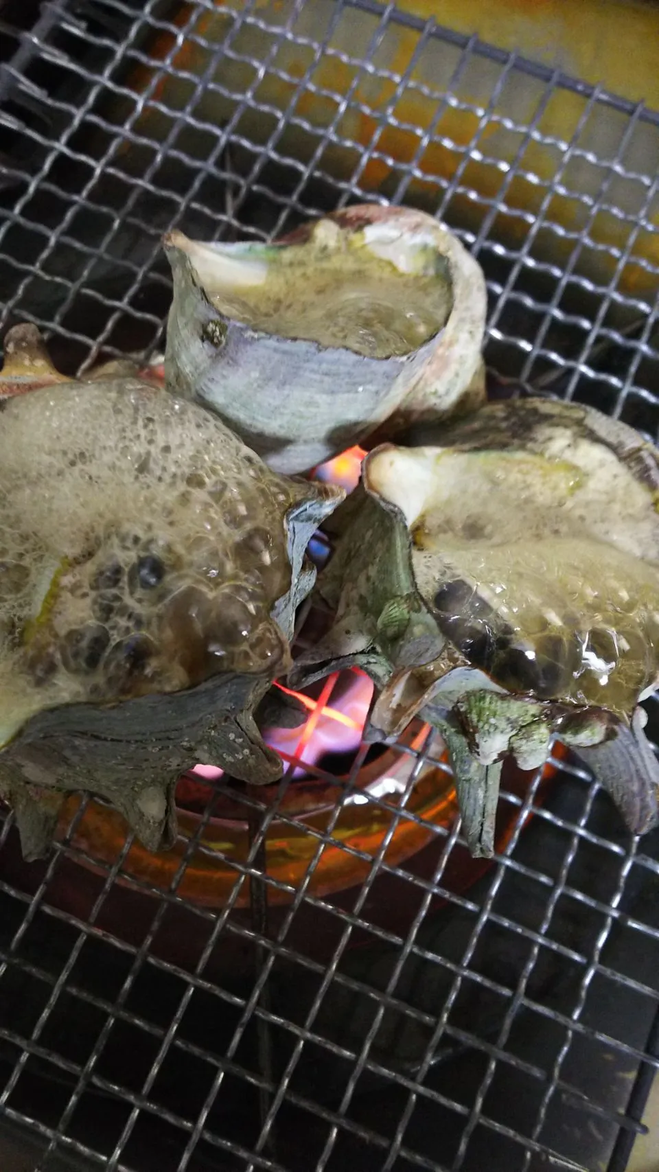 サザエのつぼ焼き|ひろにぃさん