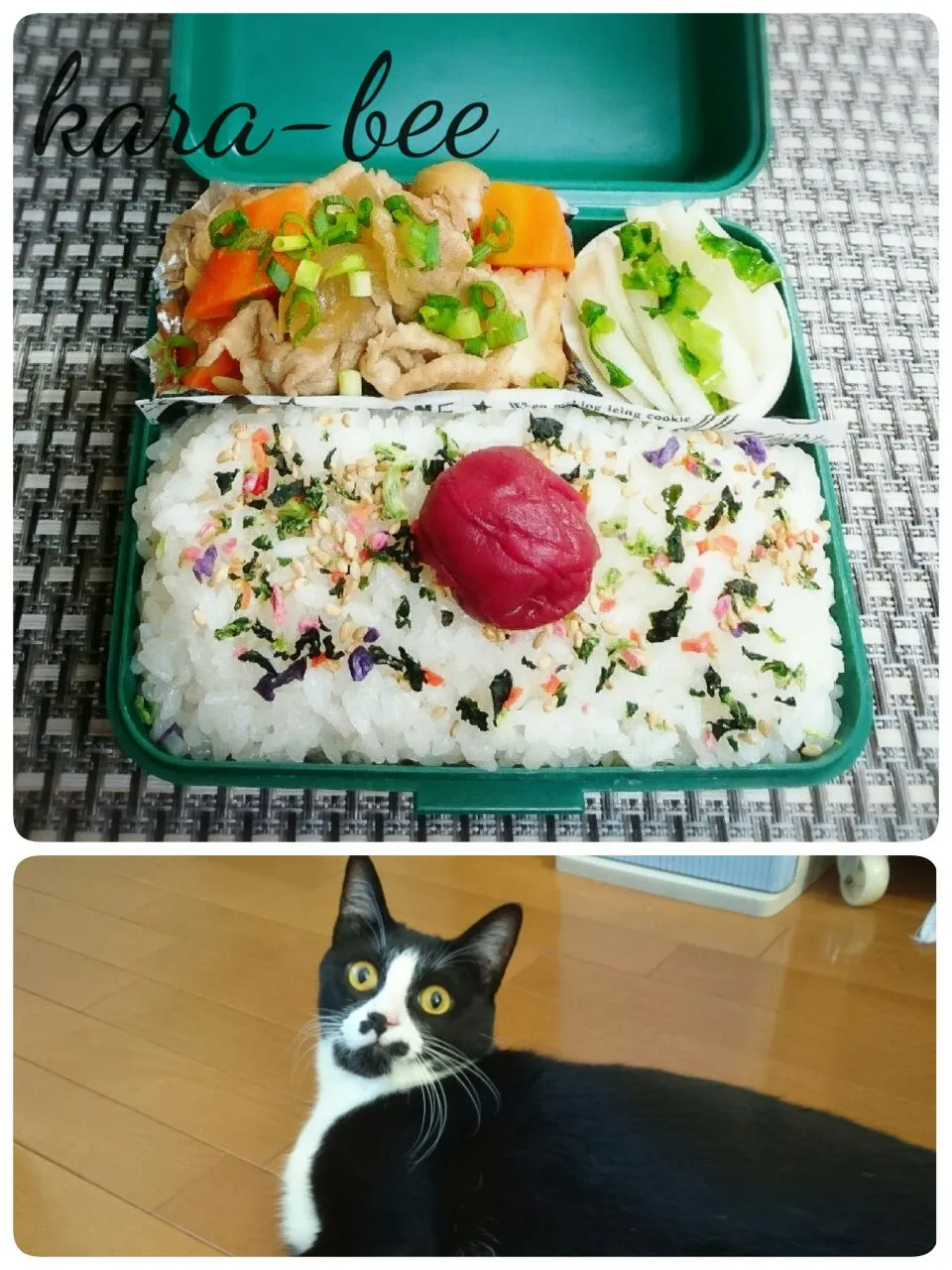 誤差あり！先日のテキトーからちゃん弁当＆僕こてちゅ|からあげビールさん