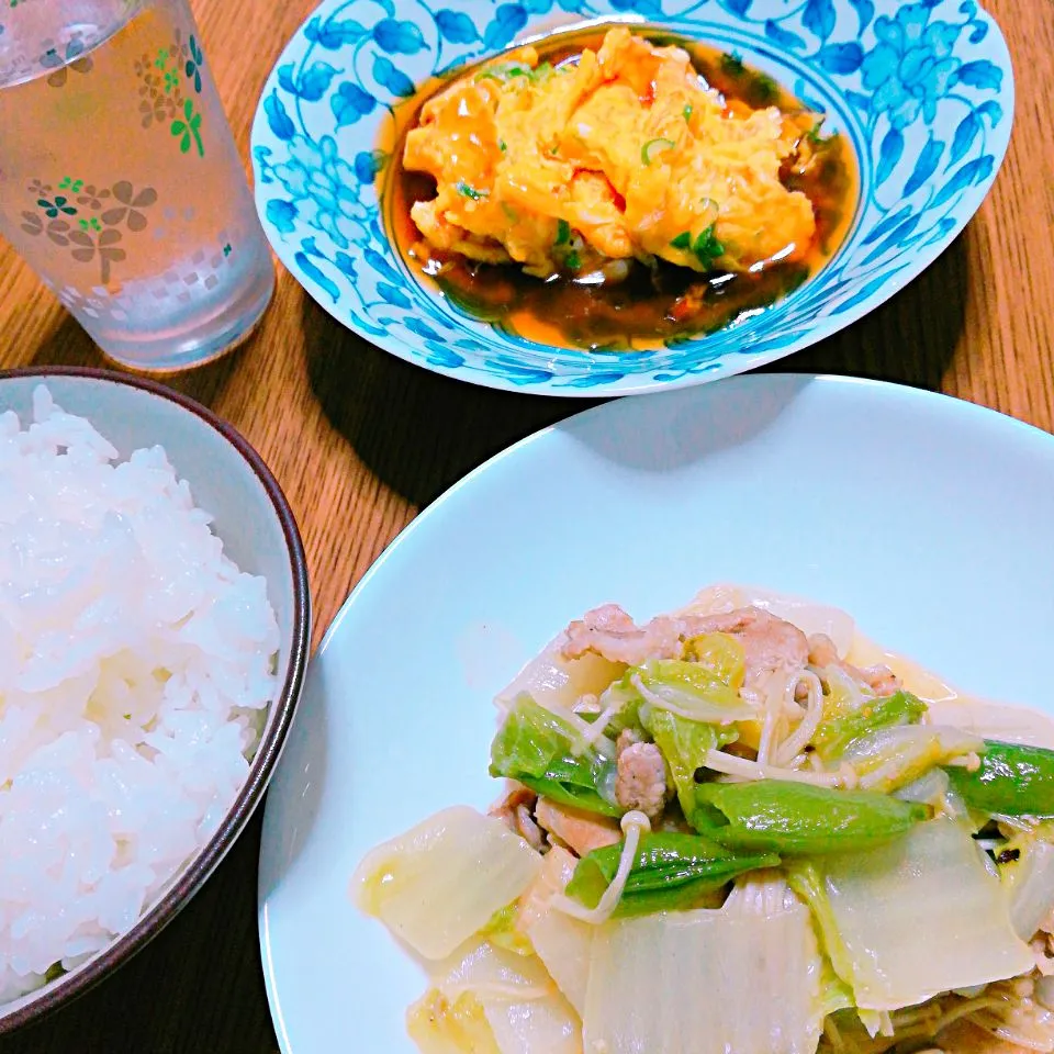 ・中華丼(これから丼にする)
・かに玉あんかけ|ようかんさん