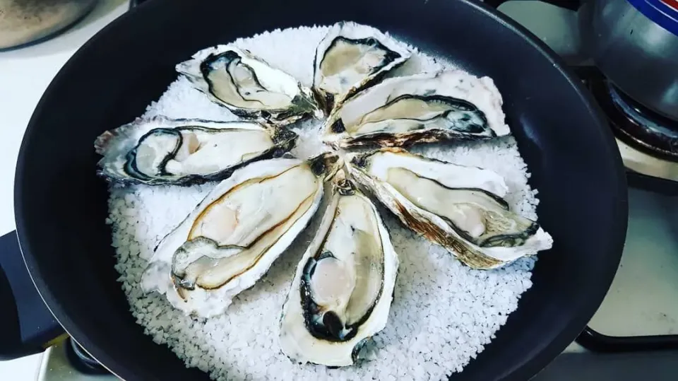 grilled oysters over coarse salt|steven z.y.さん