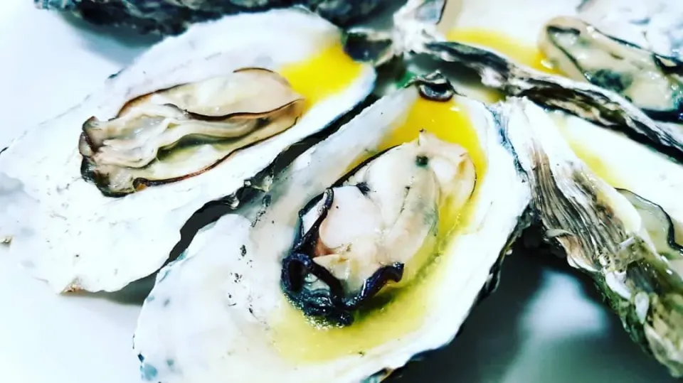 grilled oysters in lemon butter sauce over coarse salt|steven z.y.さん