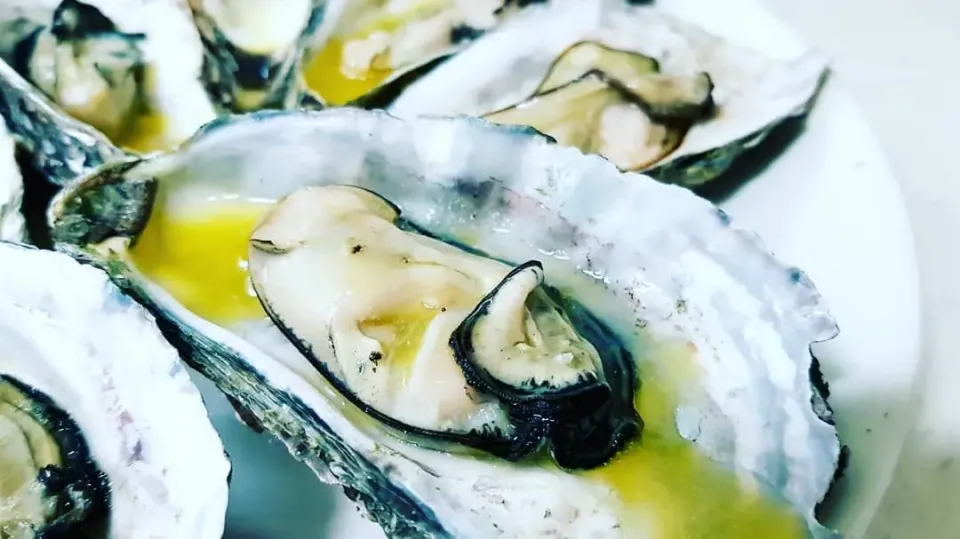 grilled oysters in lemon butter sauce over coarse salt|steven z.y.さん