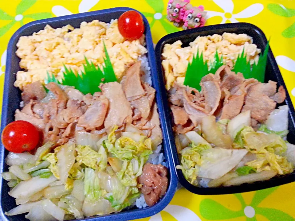 夫の弁当、娘の弁当|みどりさん