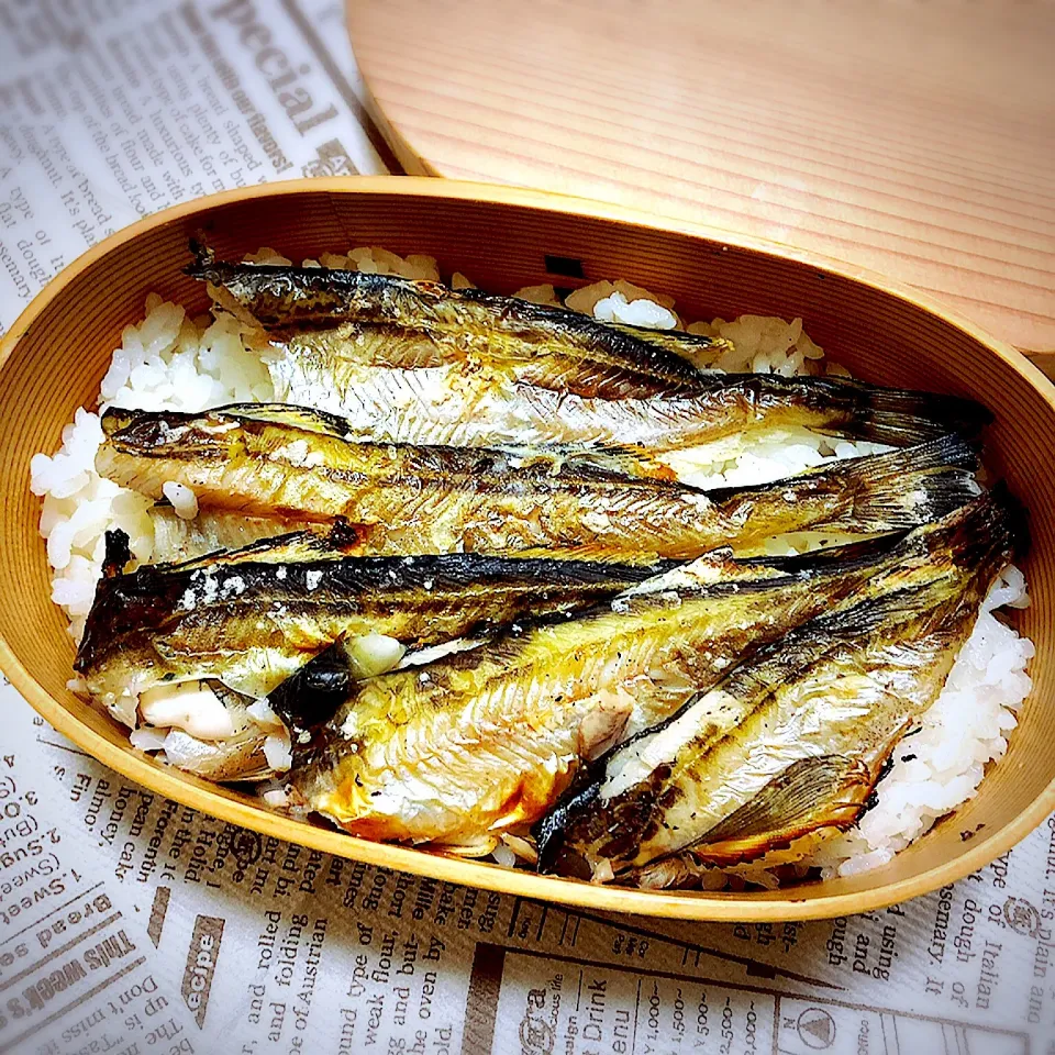 Snapdishの料理写真:新鮮ハタハタ🐟曲げわっぱ弁当|ゴンさん