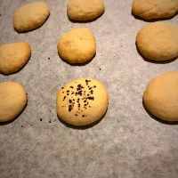 クッキーcookie🍪|せいさん