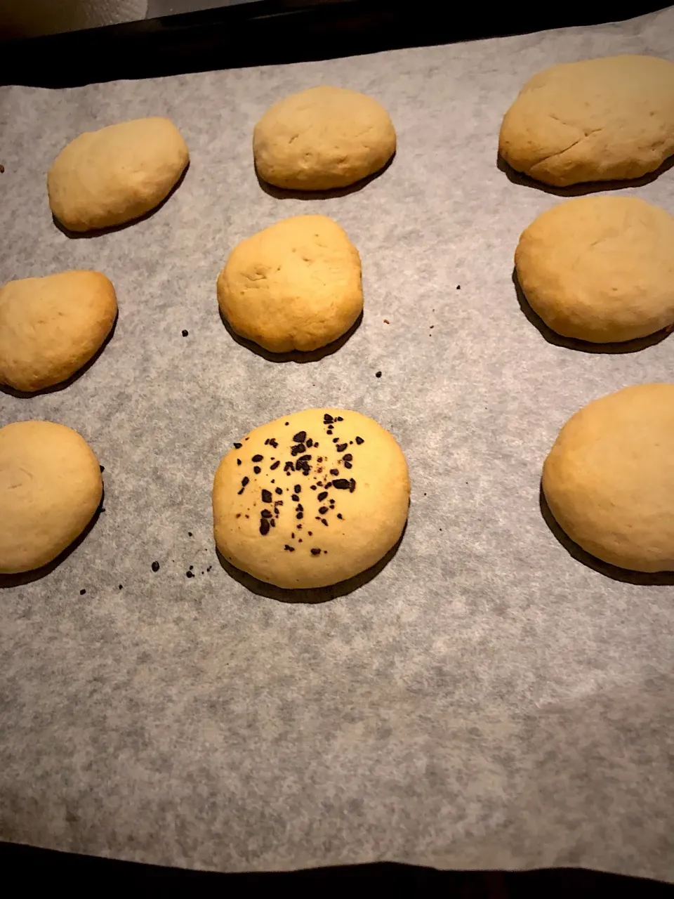 クッキーcookie🍪|せいさん