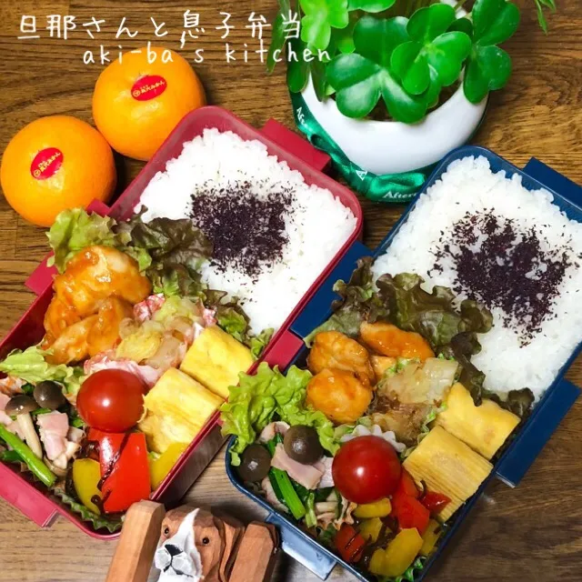 旦那さんと息子弁当12/17|アキーバさん