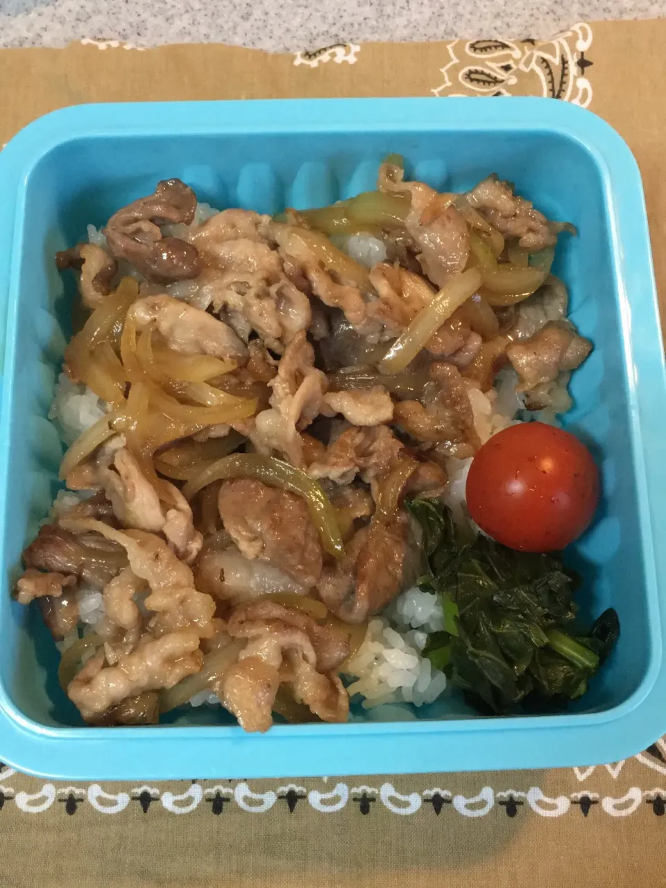 Snapdishの料理写真:♫12/19私のお弁当♫手抜きバージョン|Satokoさん